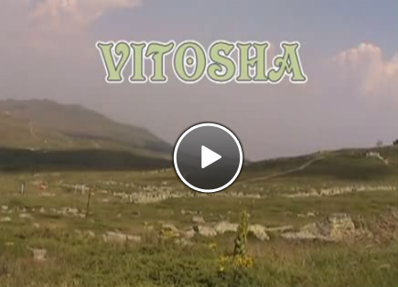 Mount Vitosha