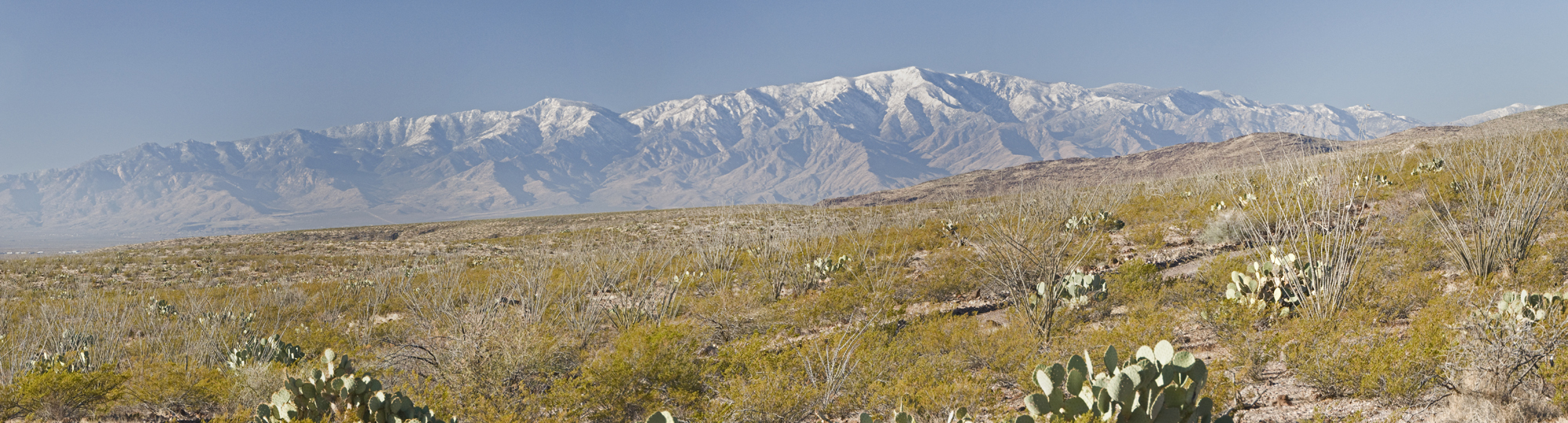 Pinaleno Mountains from Gila Box