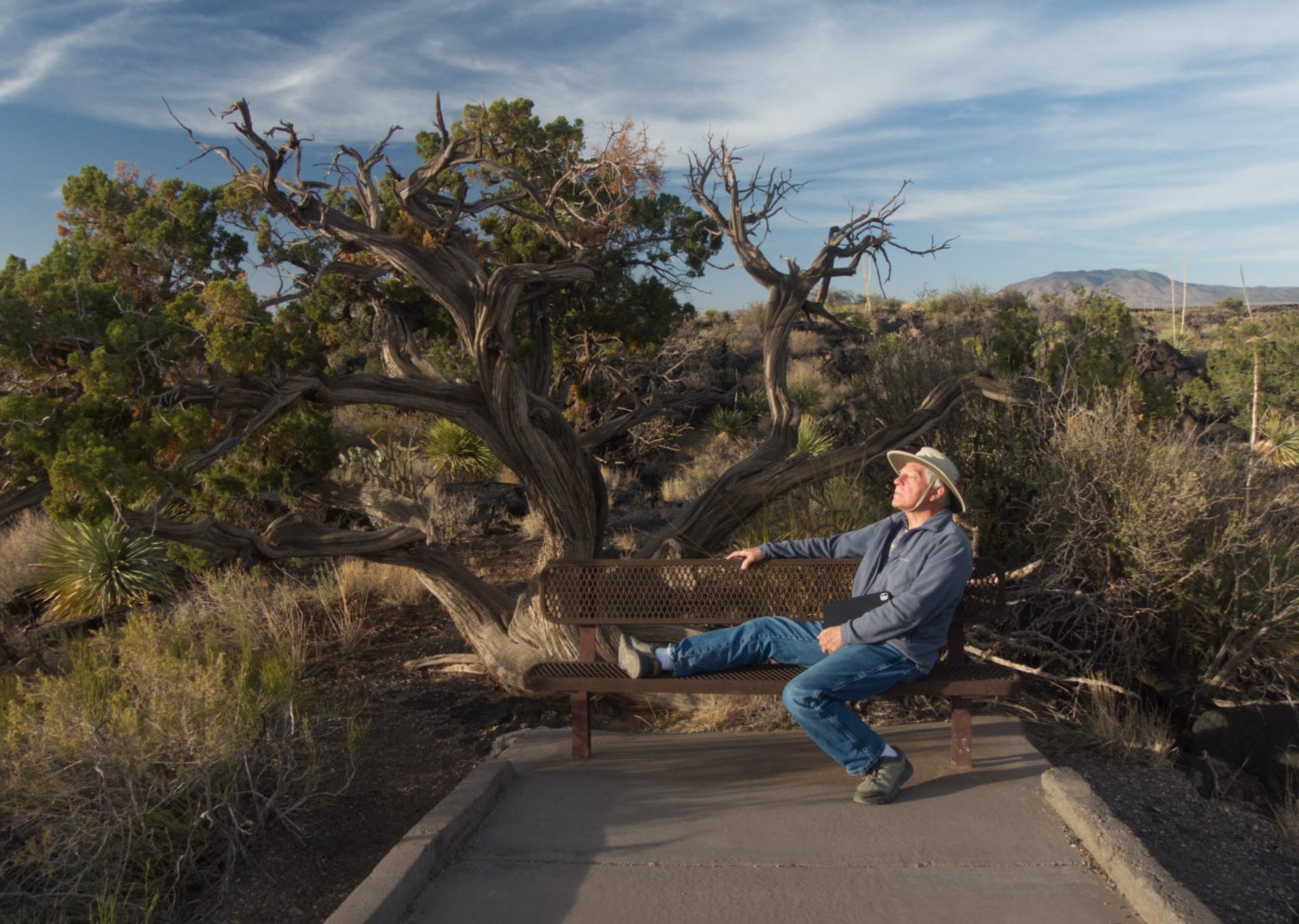 Dennis relaxing by a twisted juniper at Valley of Fires