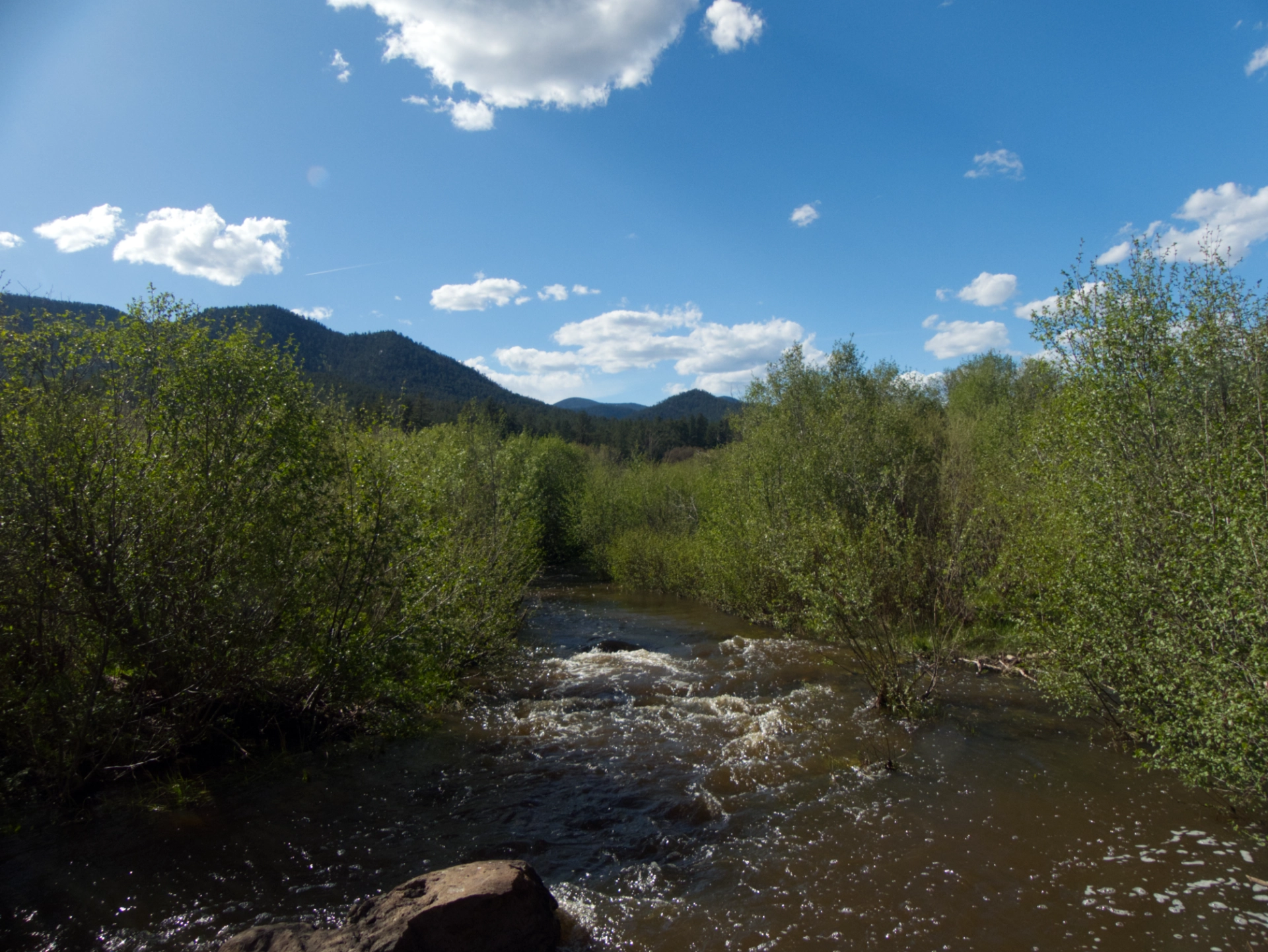 Coyote Creek