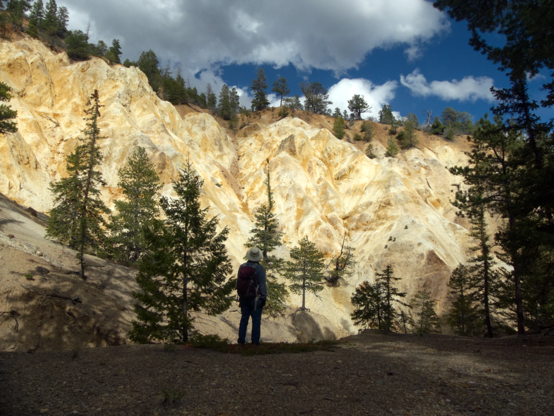 Enorrmous washout on the non-existent Questa Trail