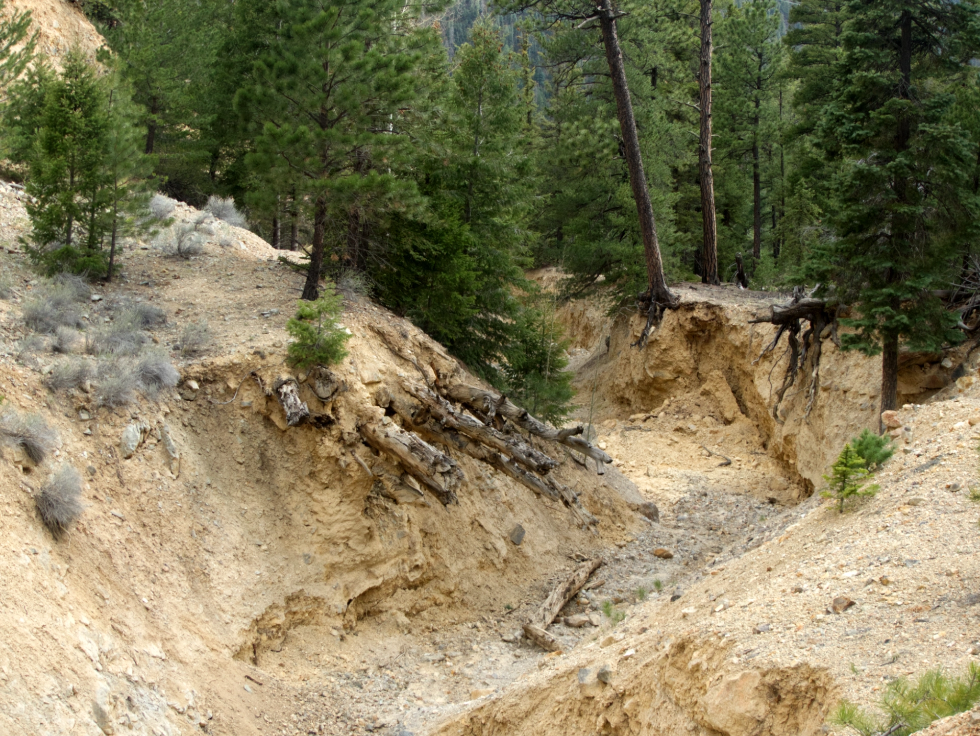 washed out bridge on the Questa Trail