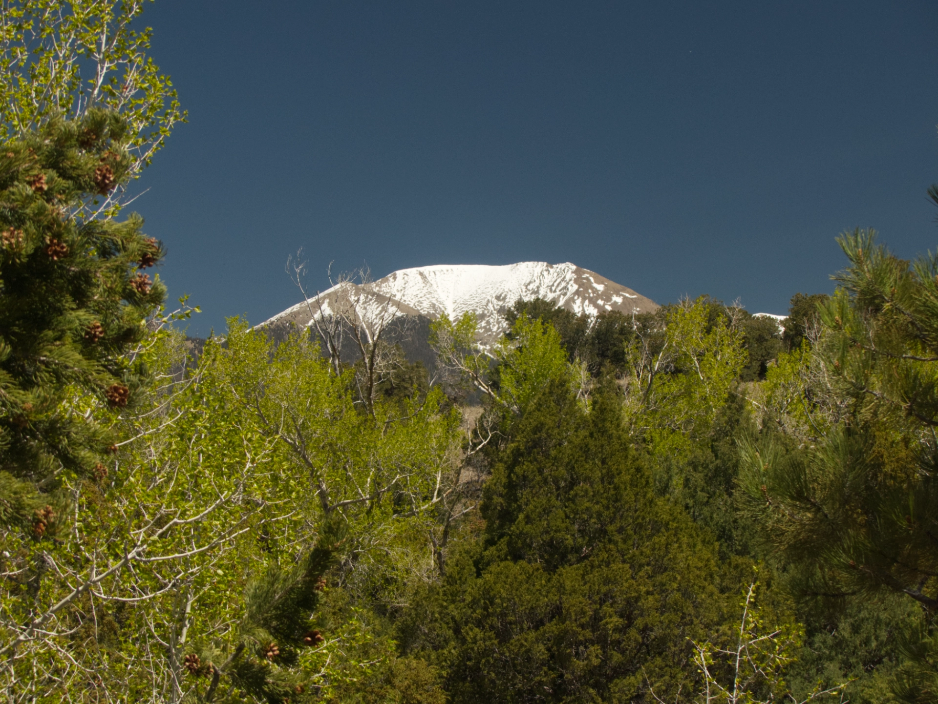 Herard Mountain in snow