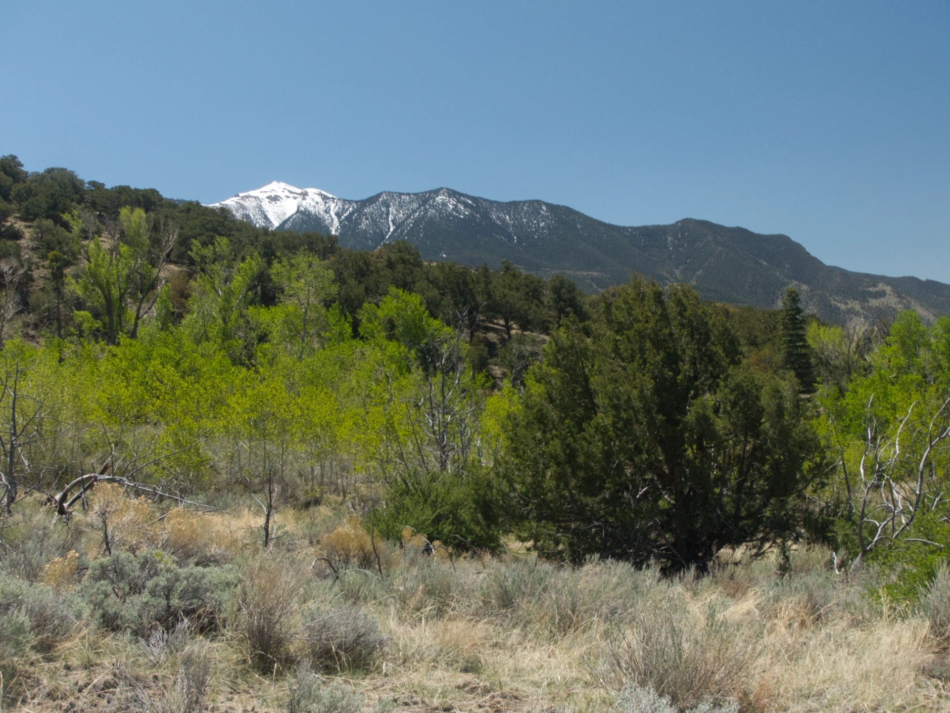 Blanco Peak in the distance