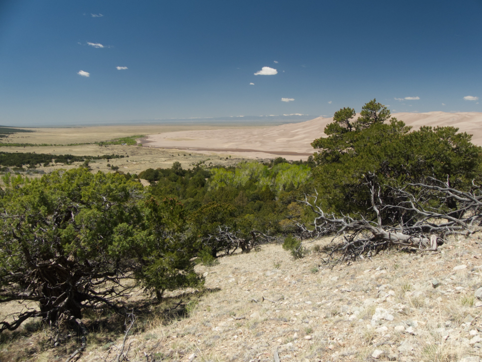 looking down on the dunes from the Overlook Trail