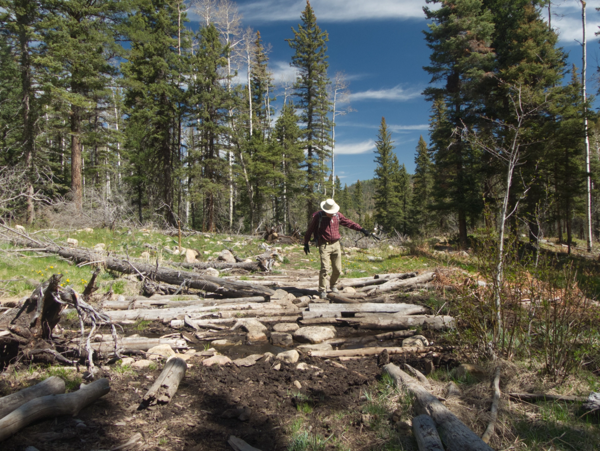 Dennis hopping across logs over a stream