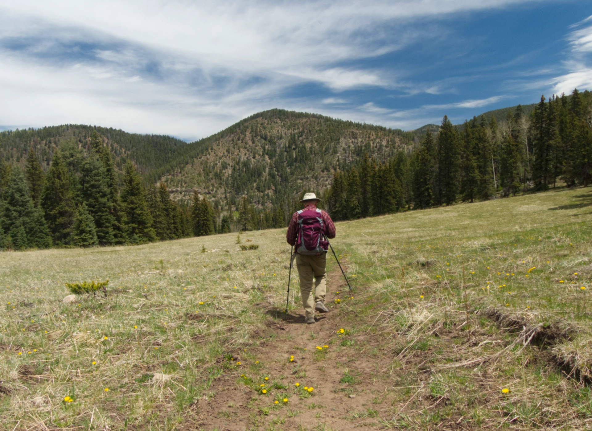 hiking through an alpine meadow back to the campground