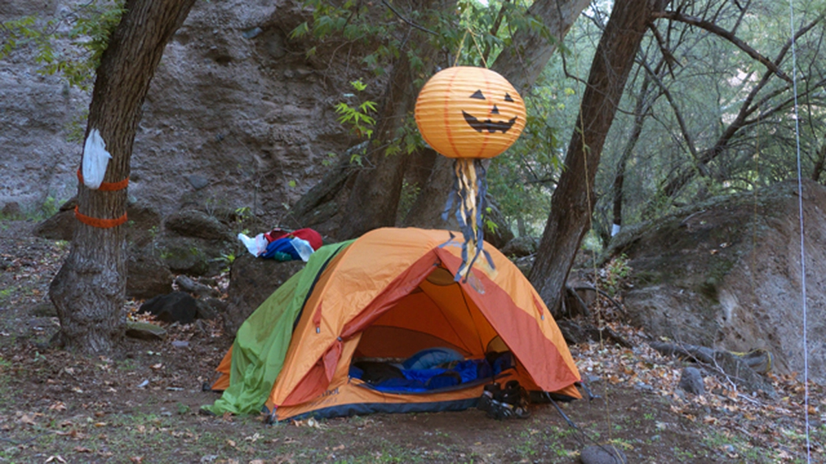 The Great Pumpkin