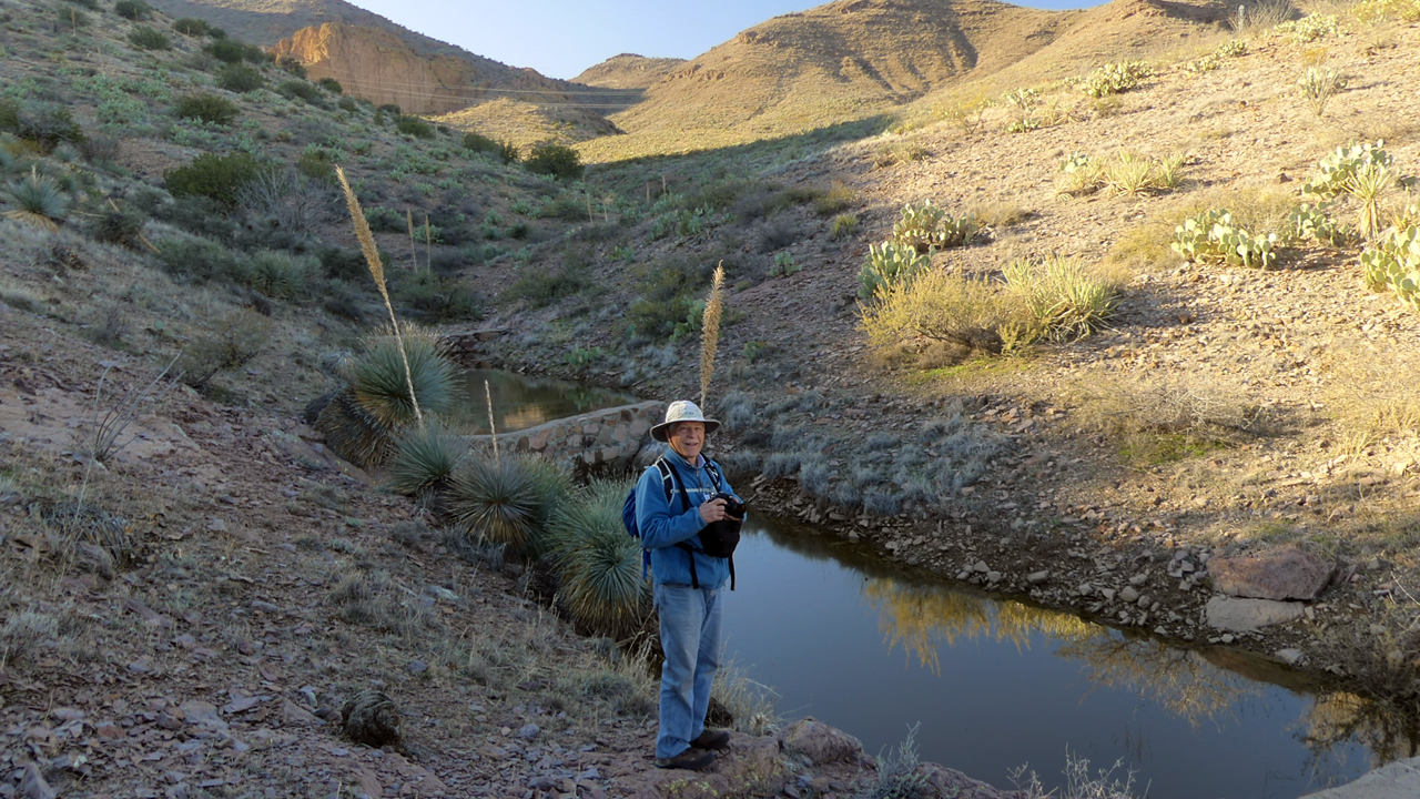 reflections in a ranch tank