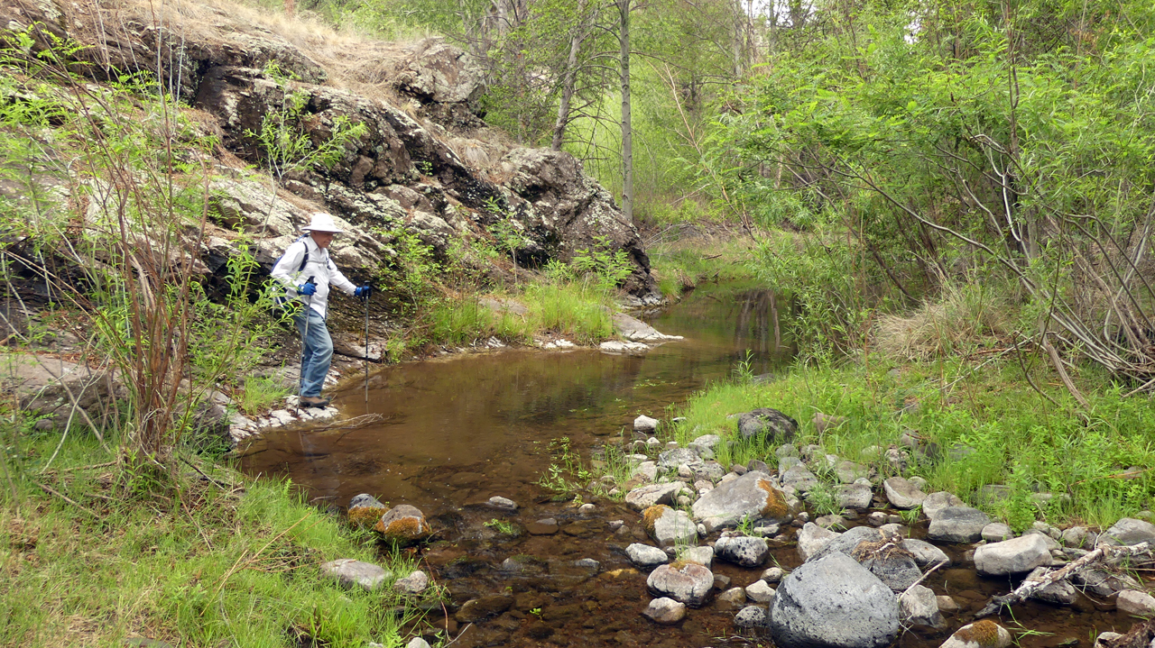 Hiking along Sapillo Creek