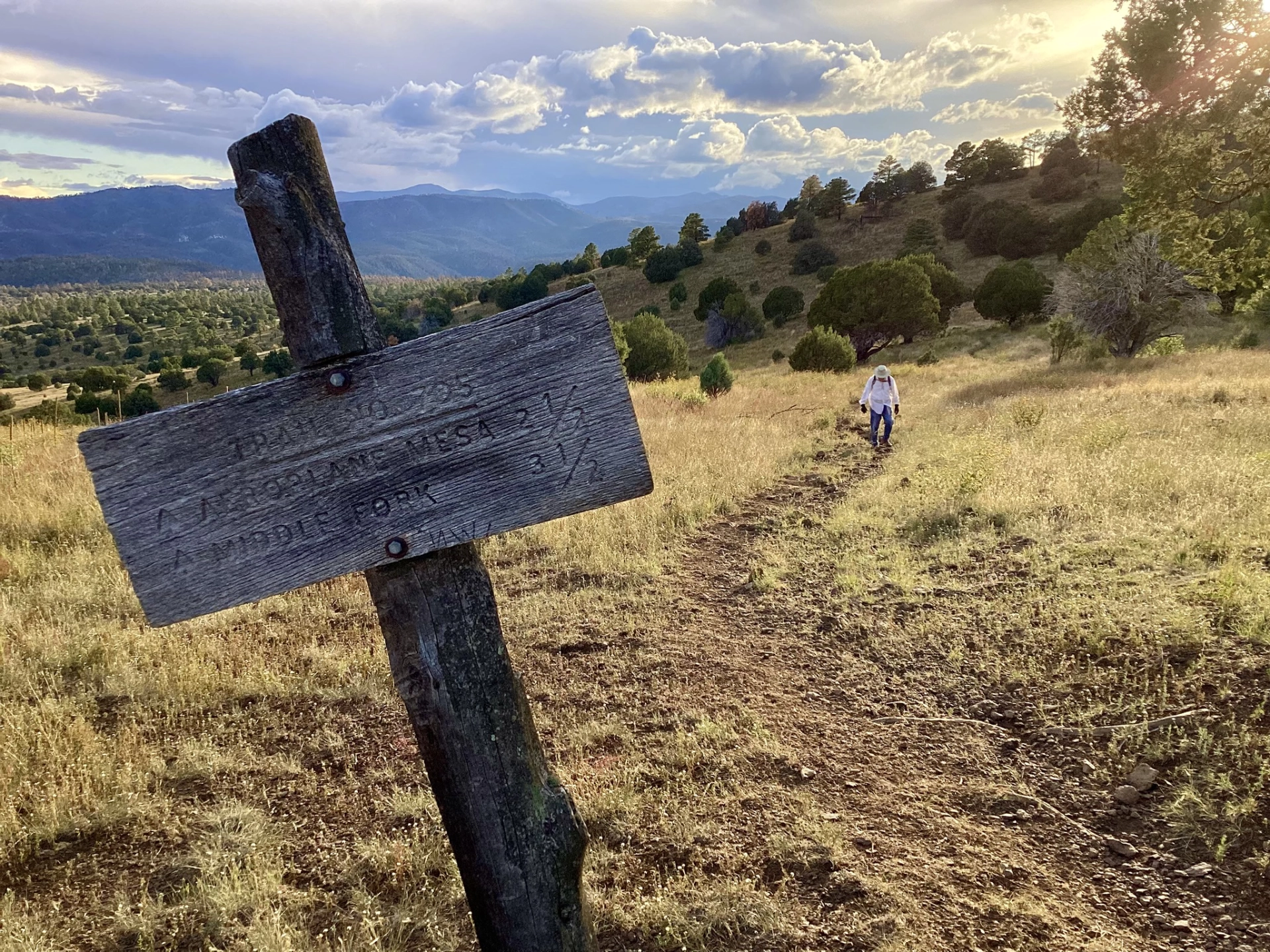 saddle above Aeroplane Mesa
