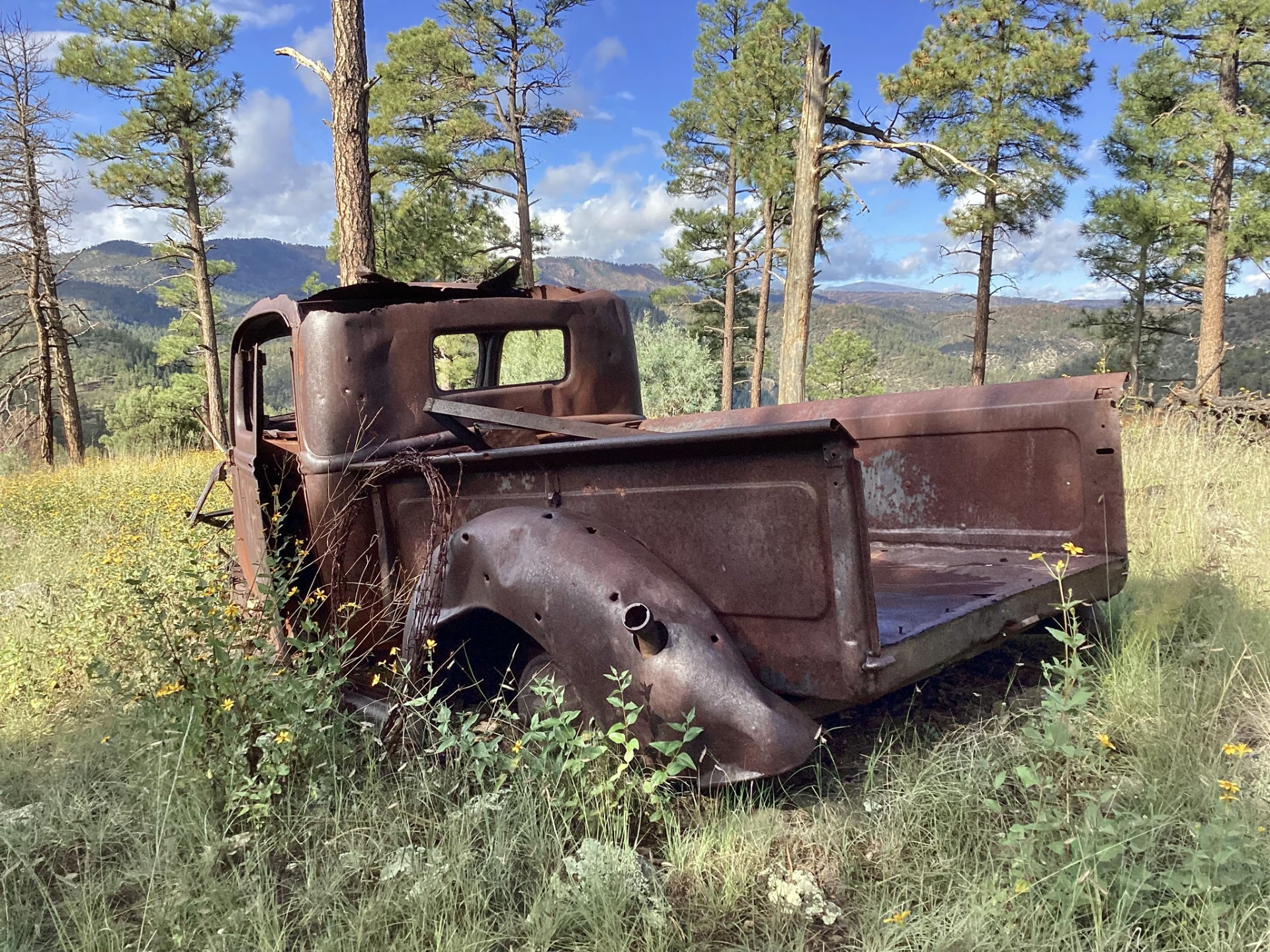rusty pickup on the edge of the mesa