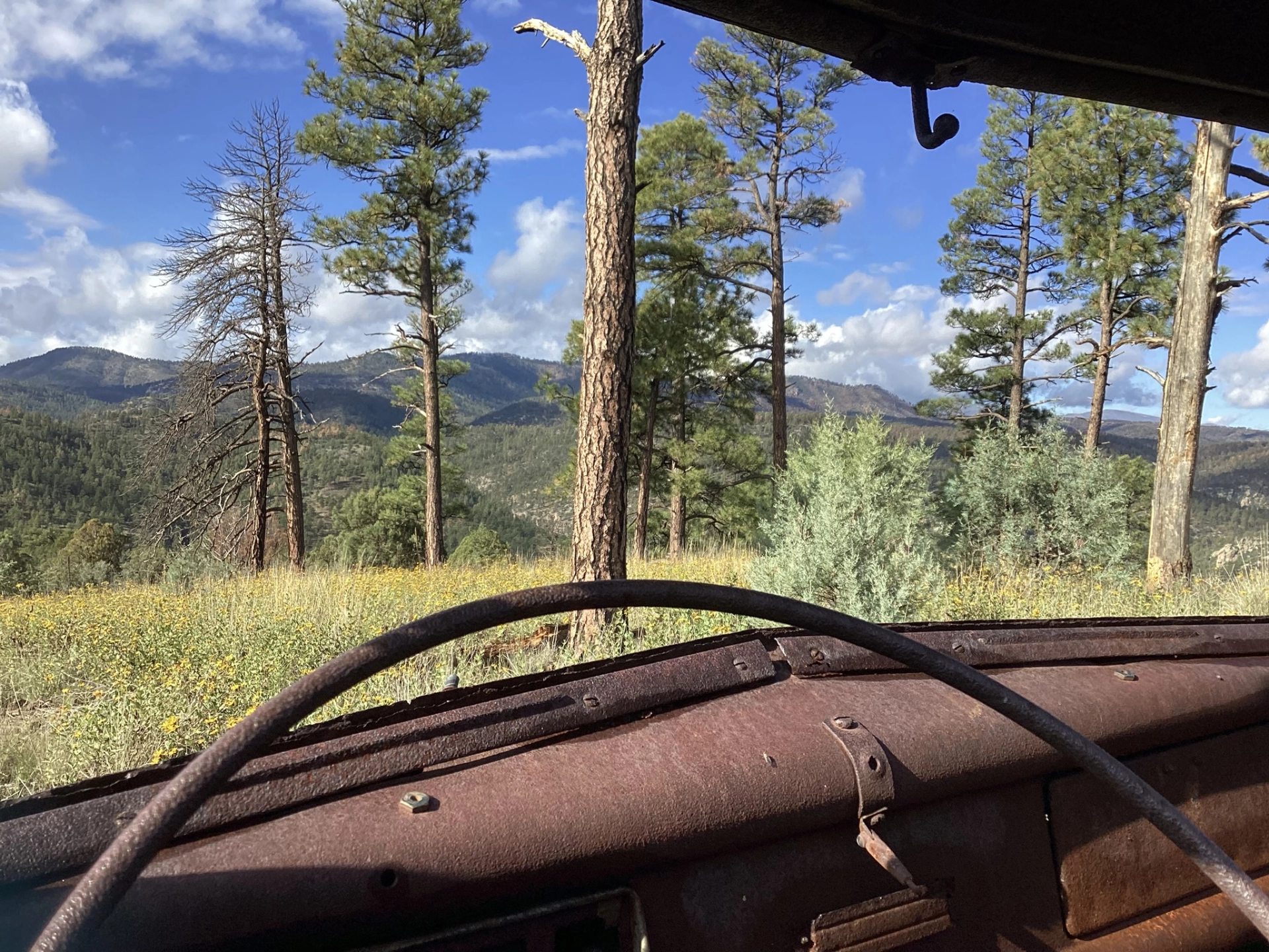 view from the driver's seat