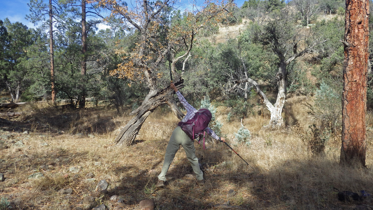 hiking pole yoga