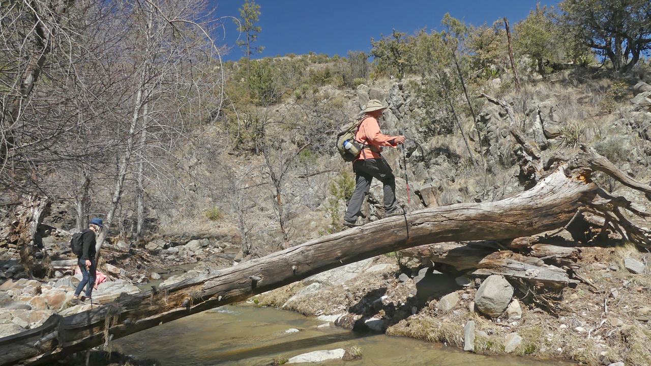 Alan crossing on log