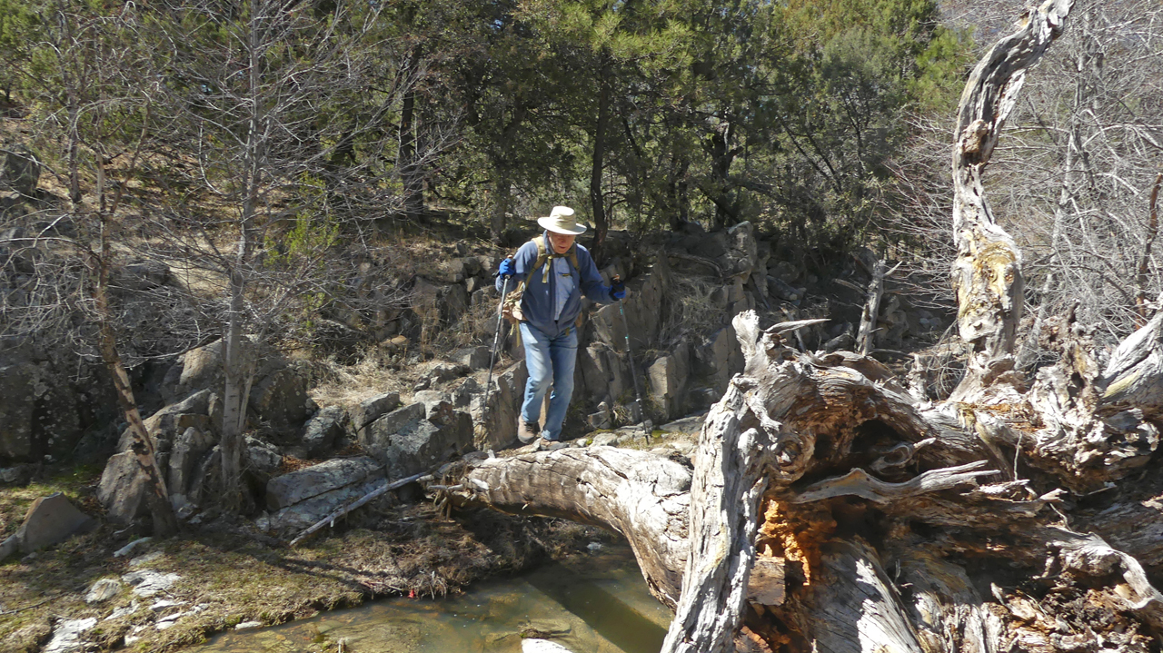 Dennis crossing on log