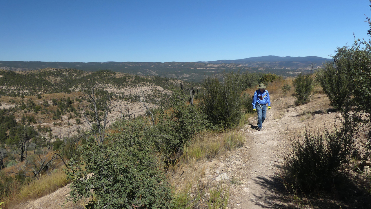 Climbing Granny Mountain Trail