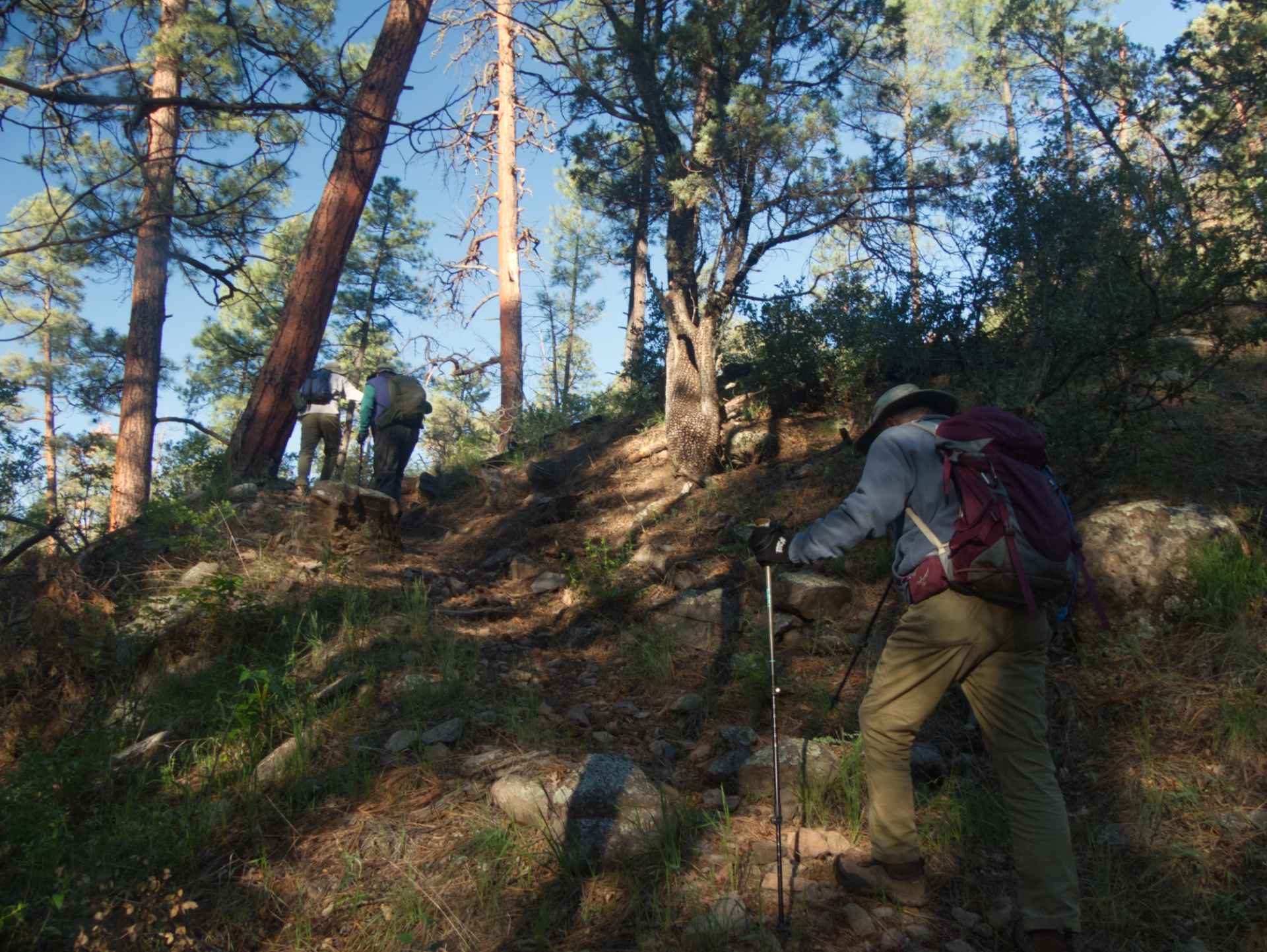 hikers trudging up a steep slope