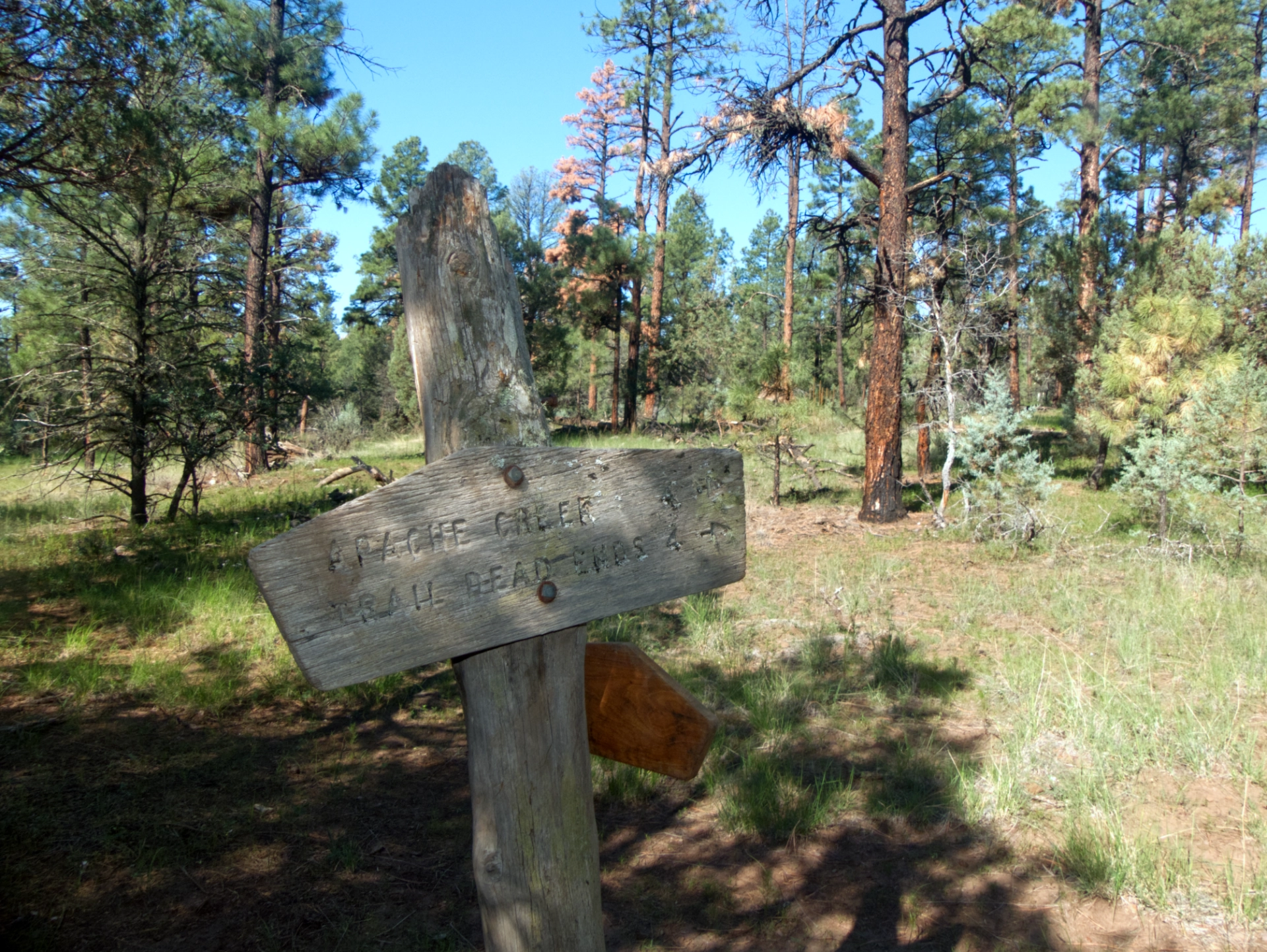 trail sign at Big Timer junction