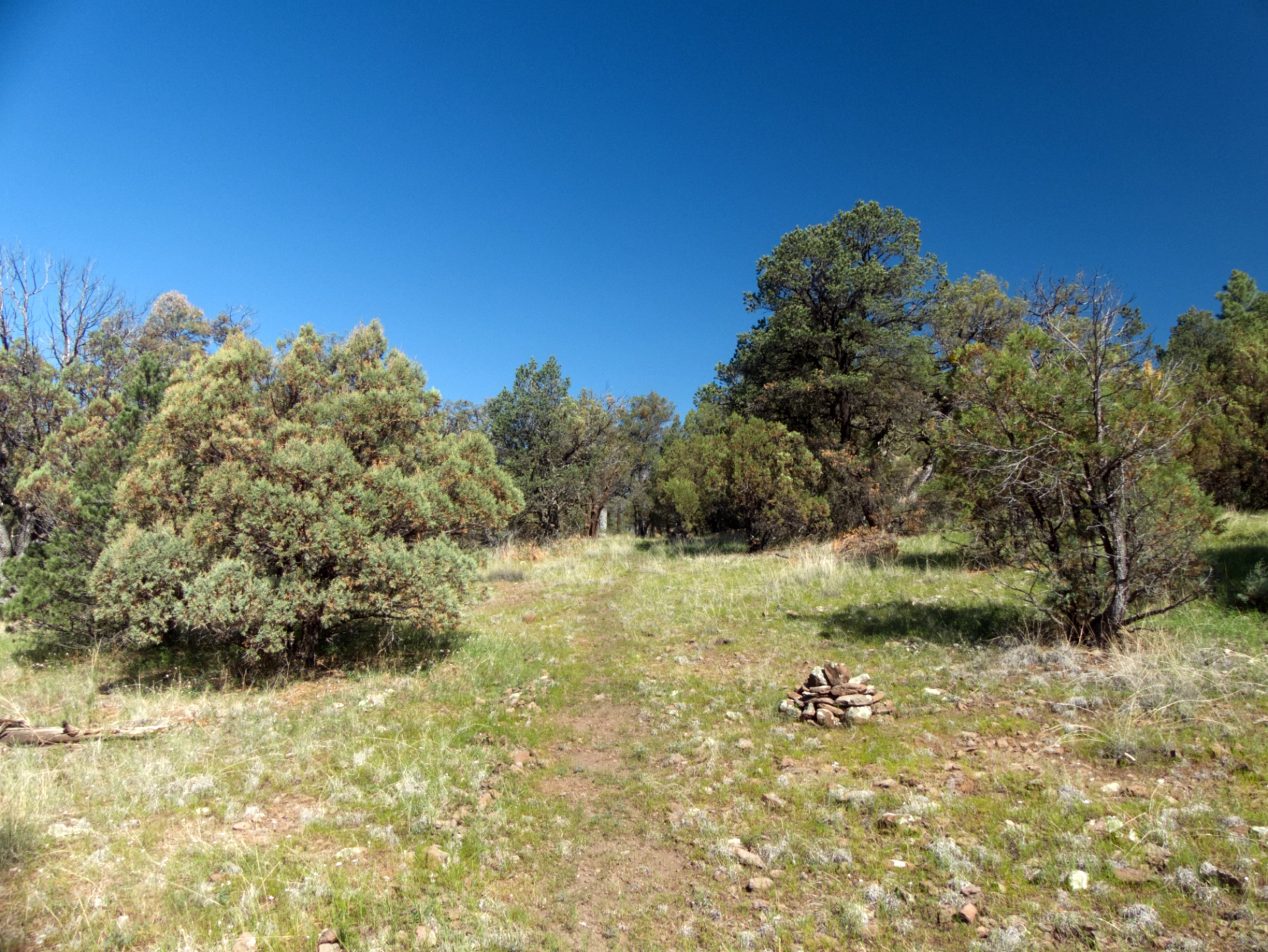 stone cairn in an open meadow
