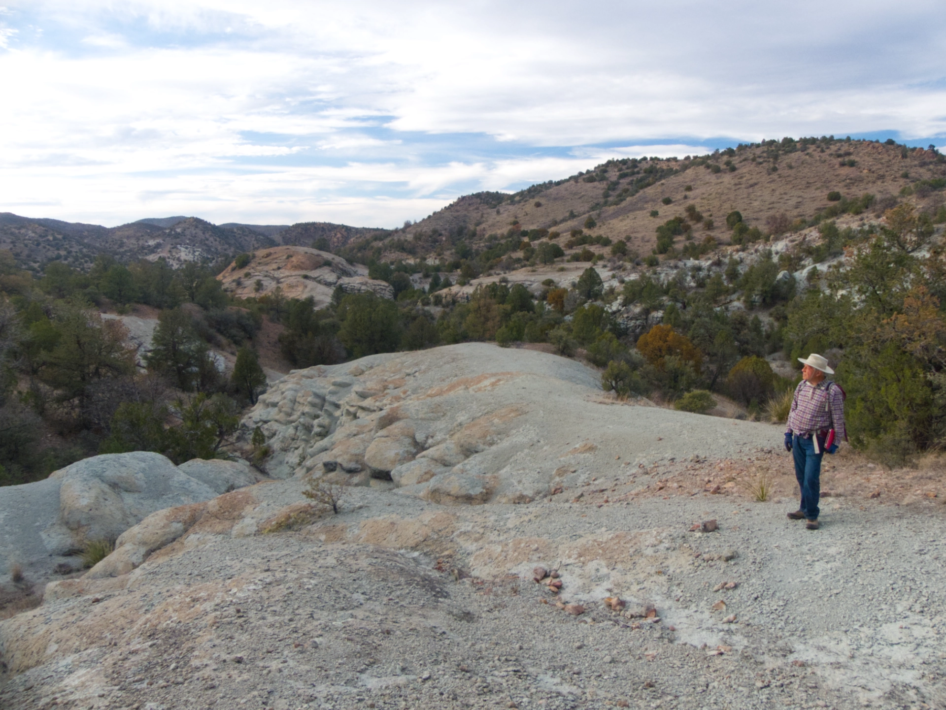 Bubbly blue rock in the Burros