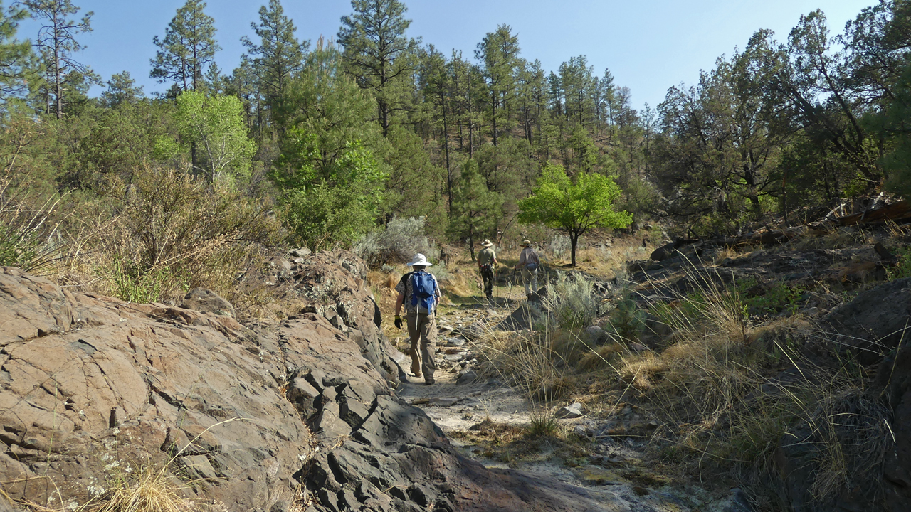 entering Webb Gulch