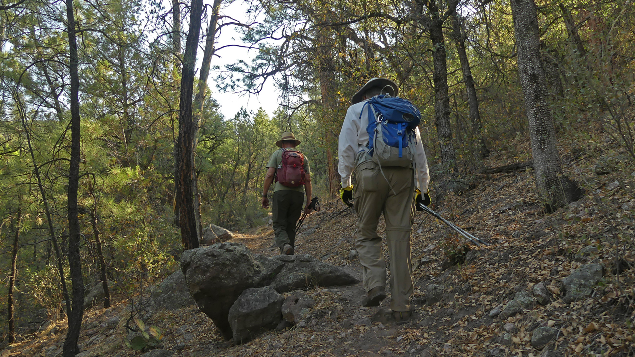 hiking uphill along Sycamore Creek