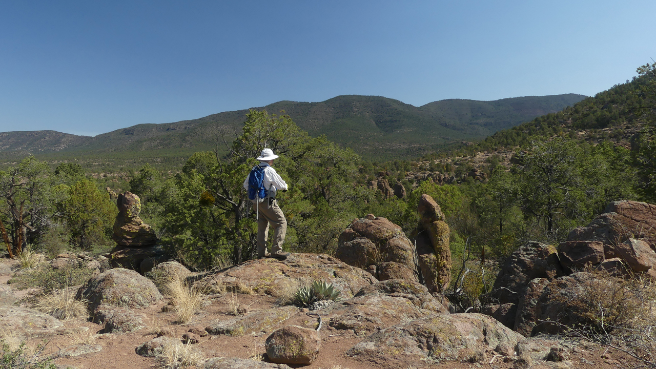 Tadpole Ridge