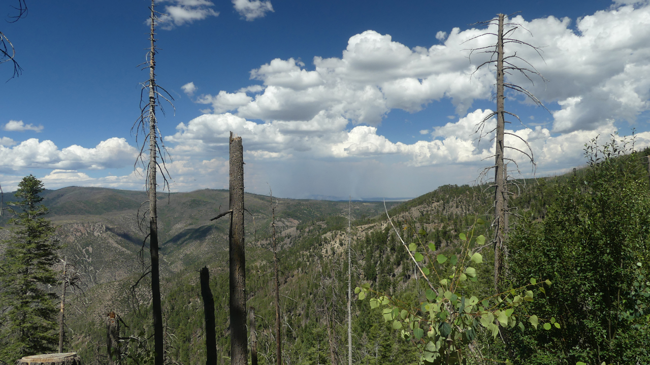 view from Silver Creek Divide