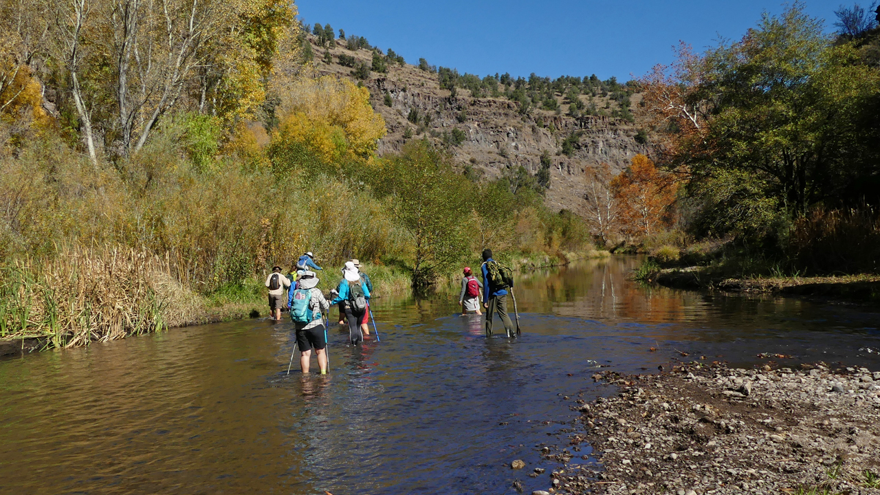 crossing the stream