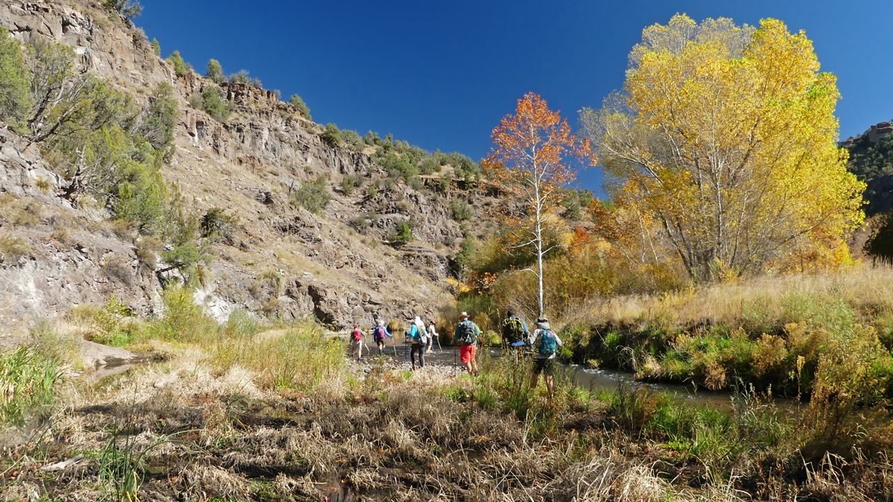 beautiful fall colors in the canyon