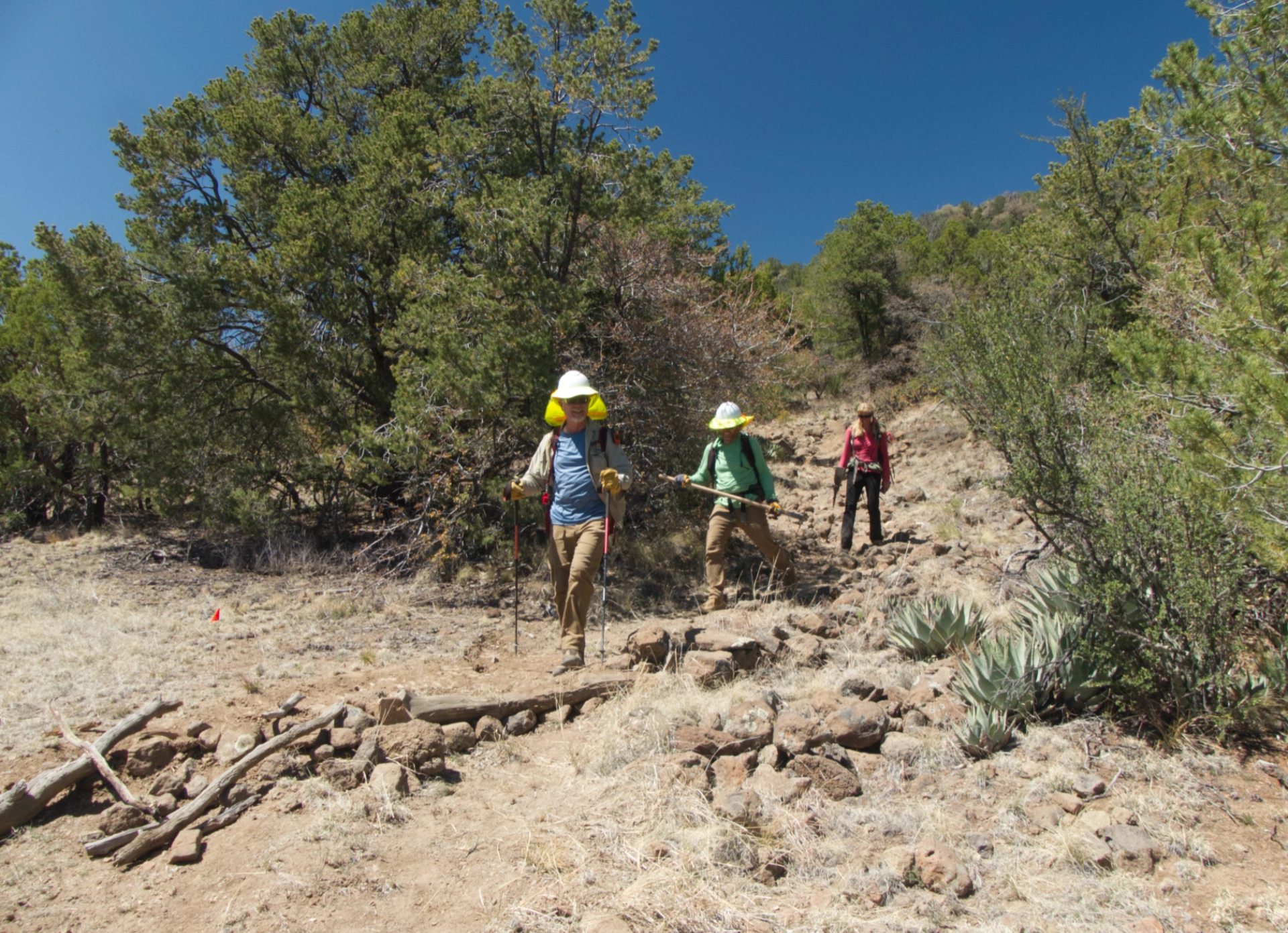 three hikers descending the trail they just cleared