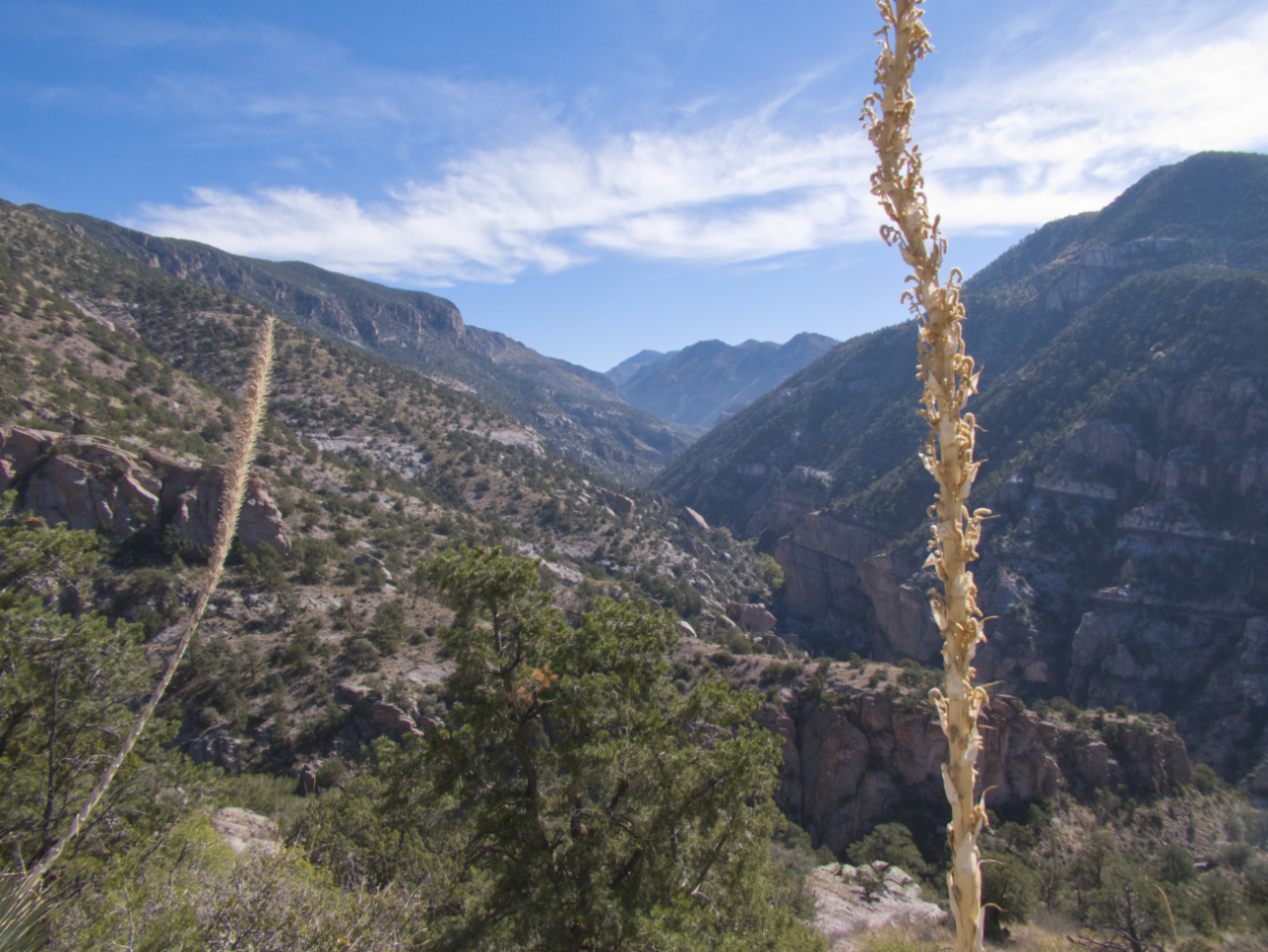 view into Whitewater Canyon