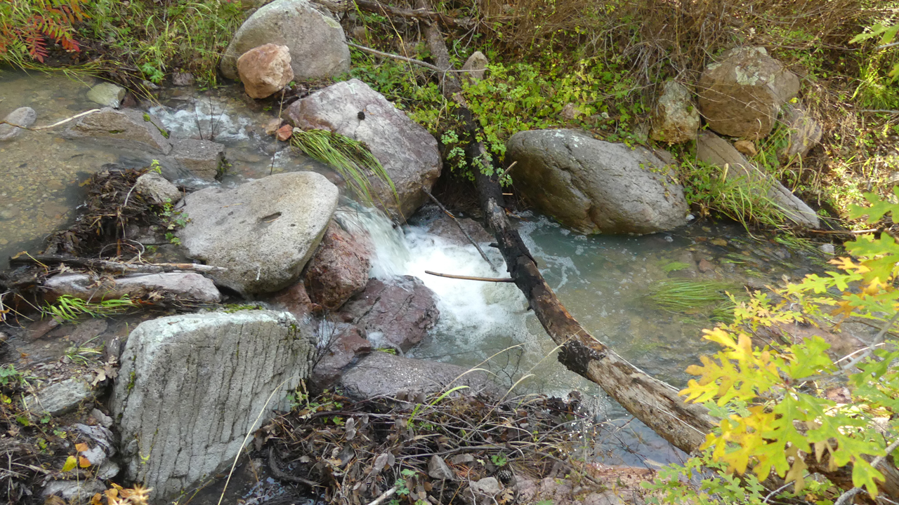 creek in Sheridan Gulch