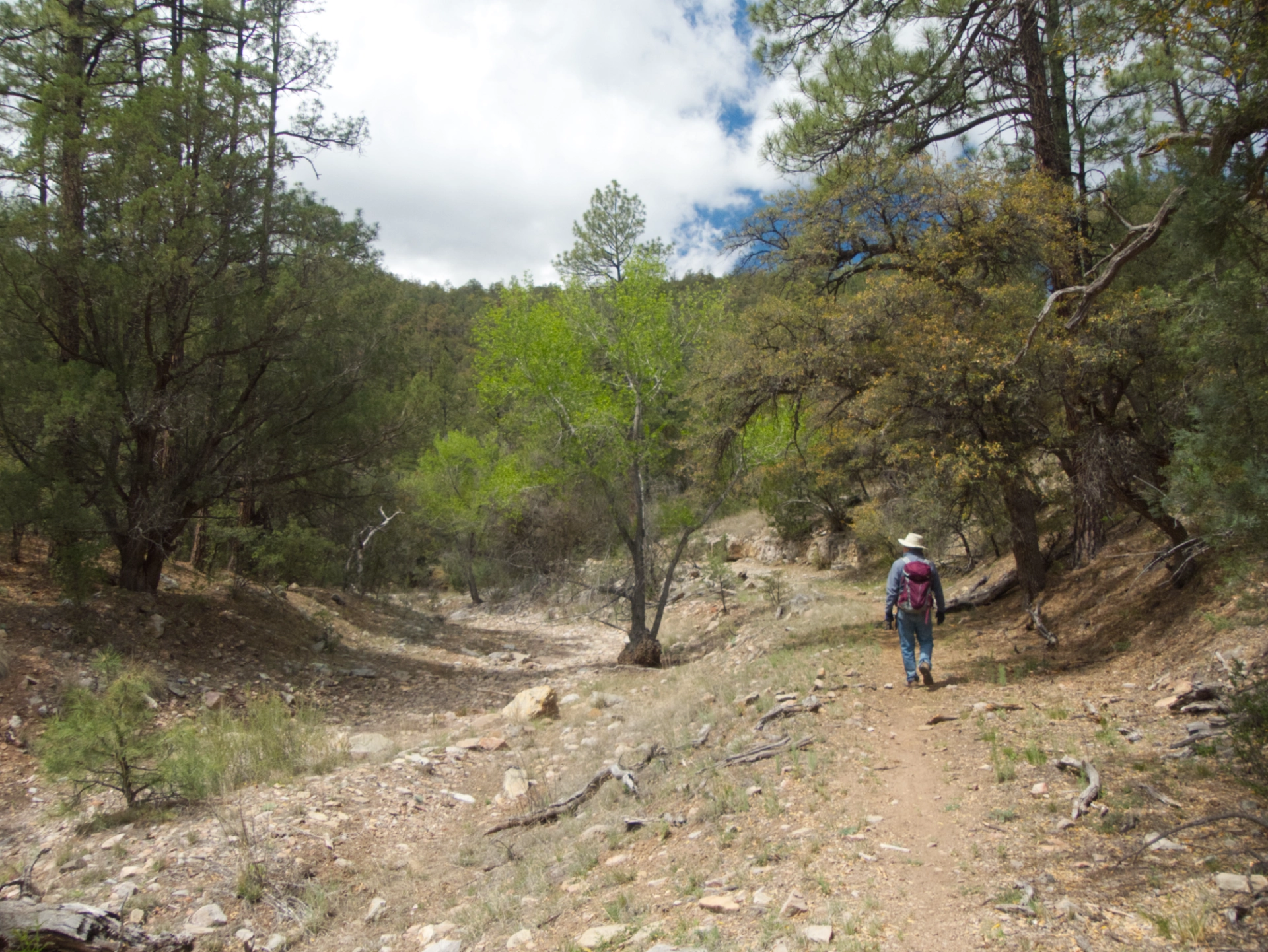 wandering along a dry creek