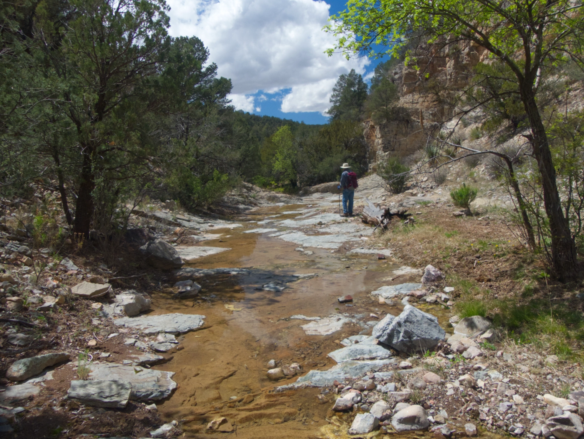 Rocky creek with flowing water
