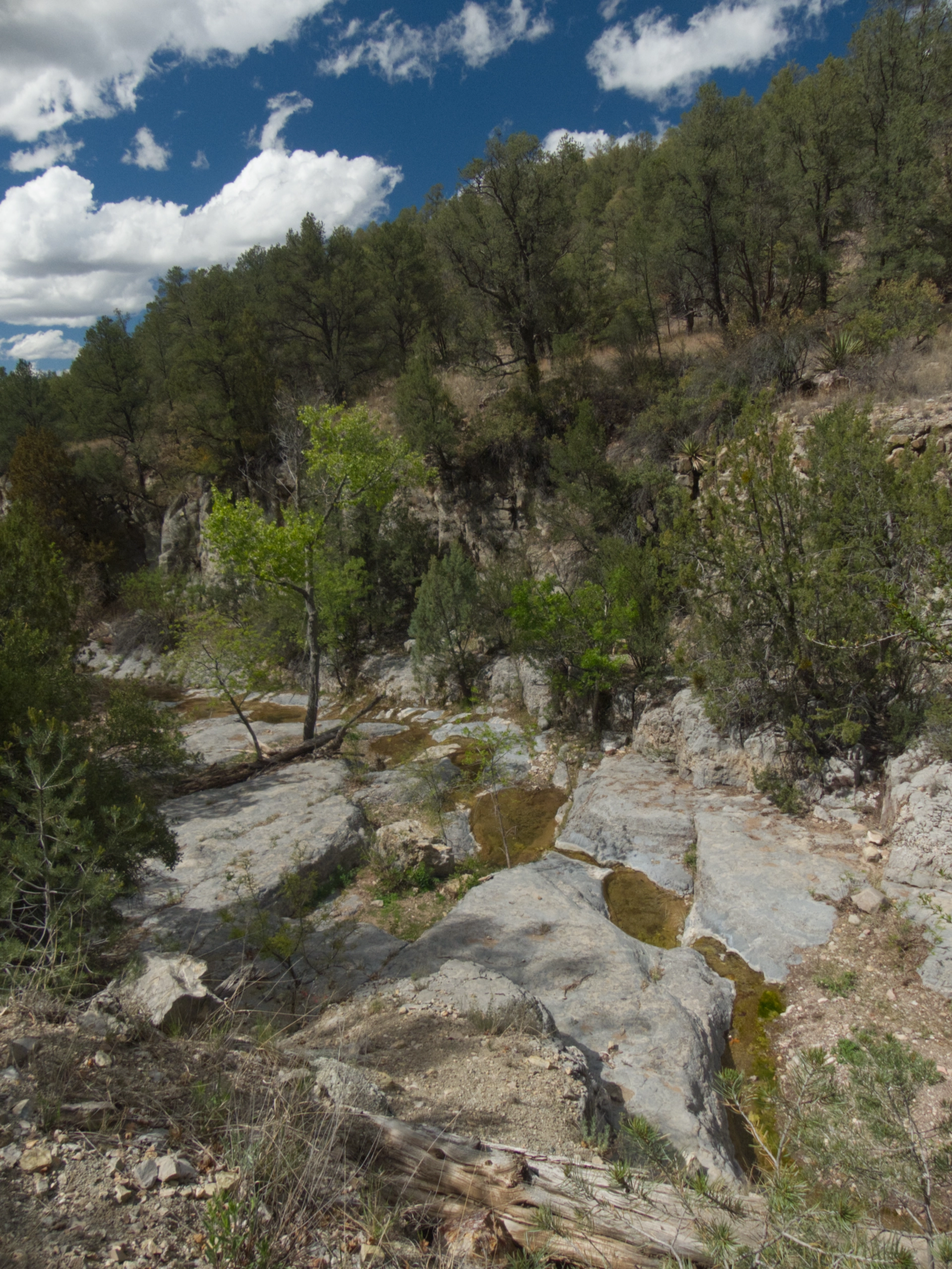 Pools of water in the stream like beads on a necklace