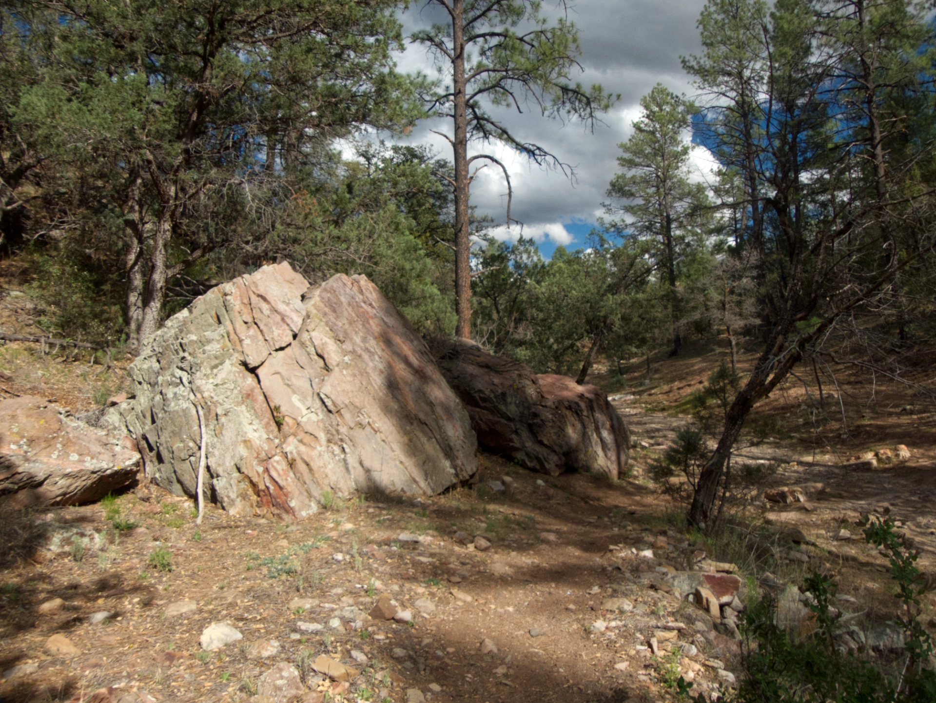 Late afternoon light in the canyon