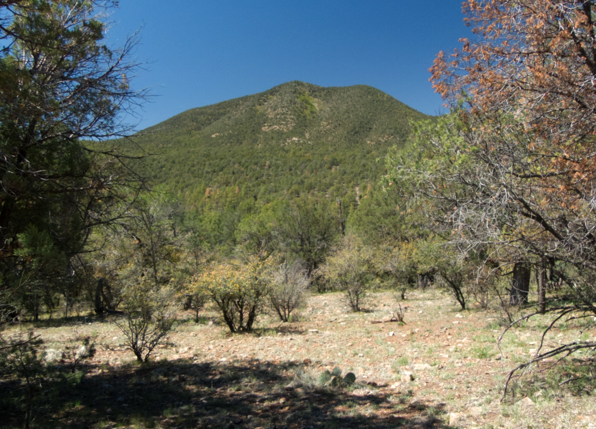 Unique view of a well-known local mountain