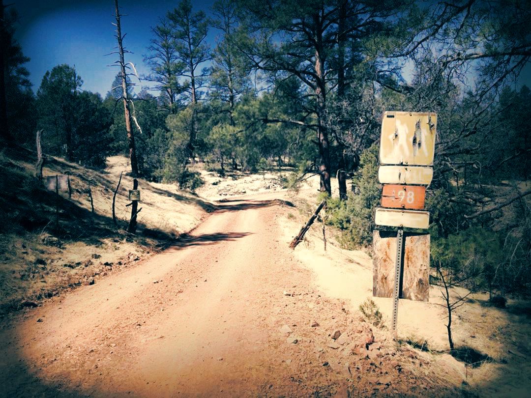 worn-out trail sign