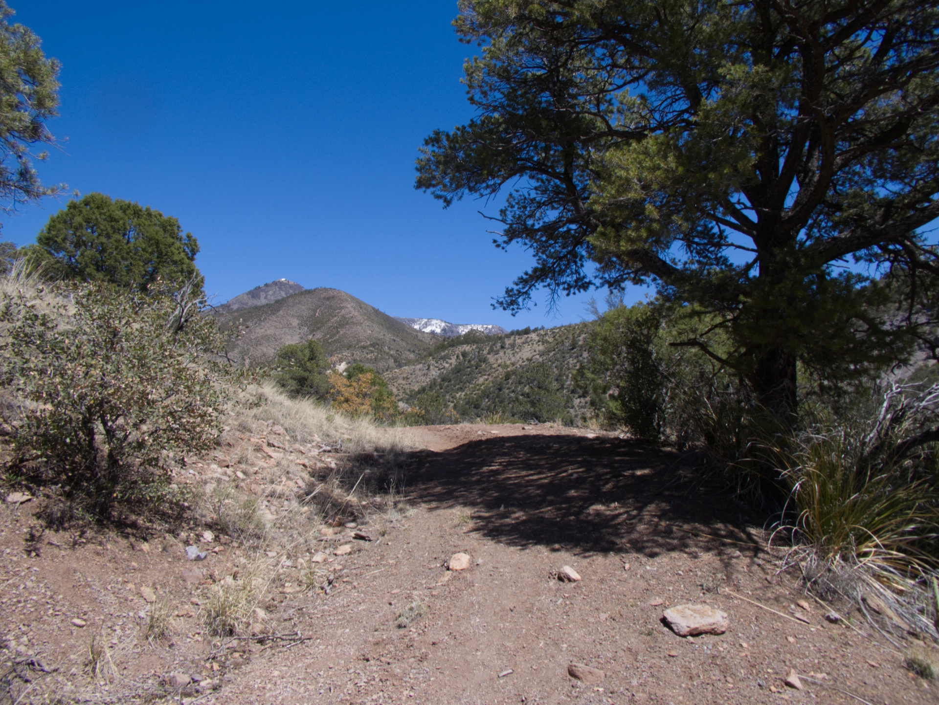 start of the trail, view of snow-capped mountains