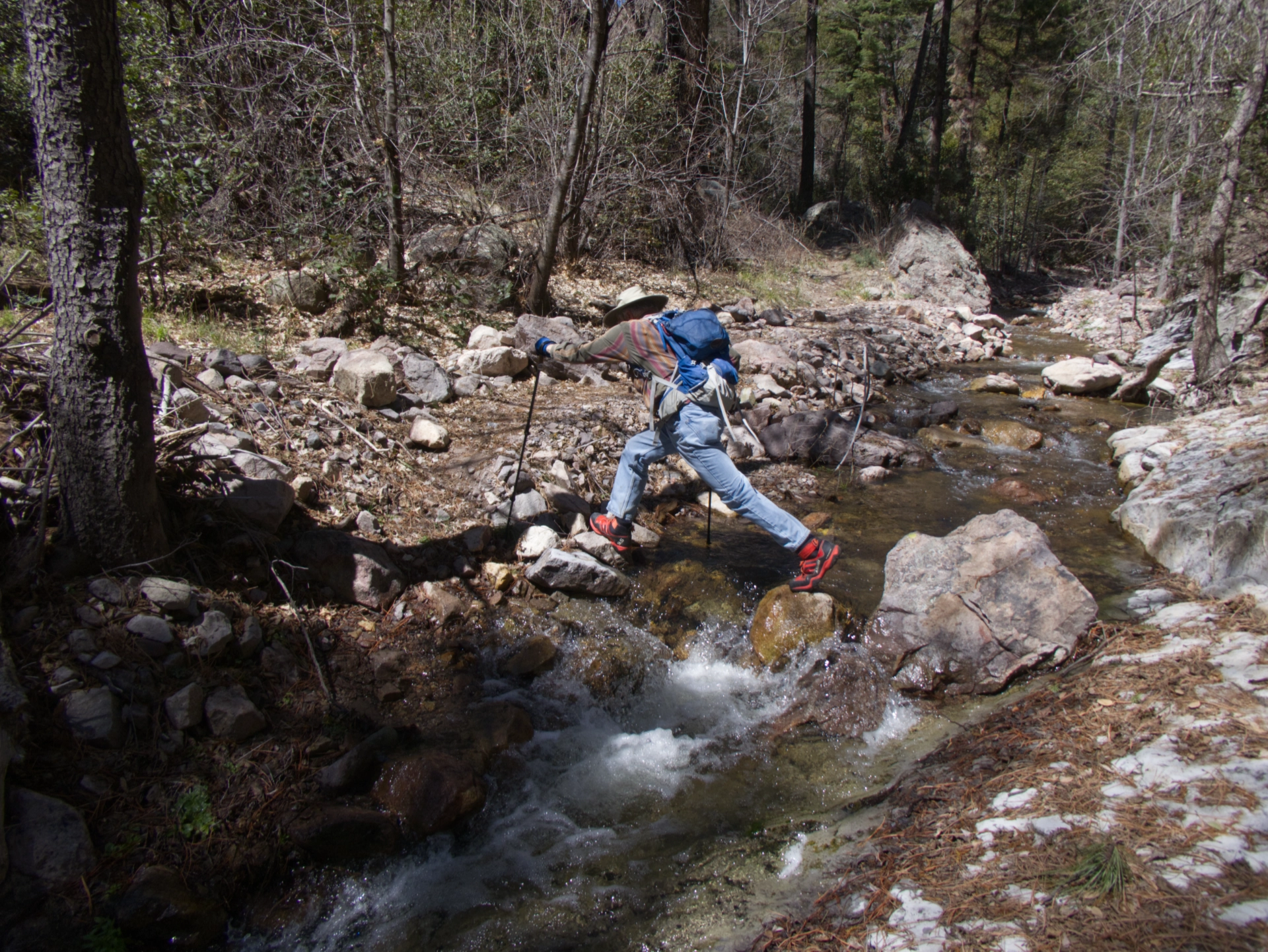 crossing the roaring stream