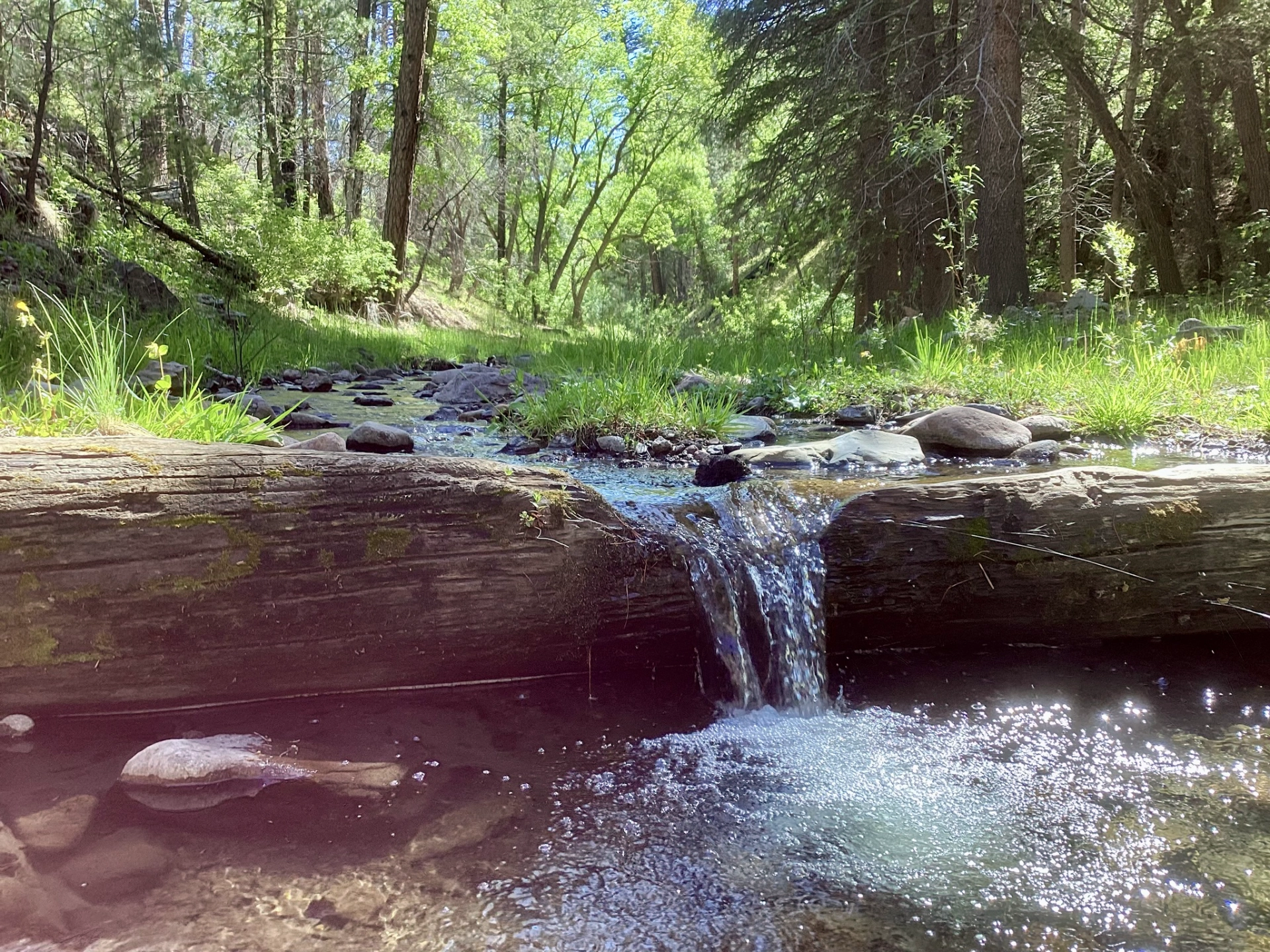 water bar