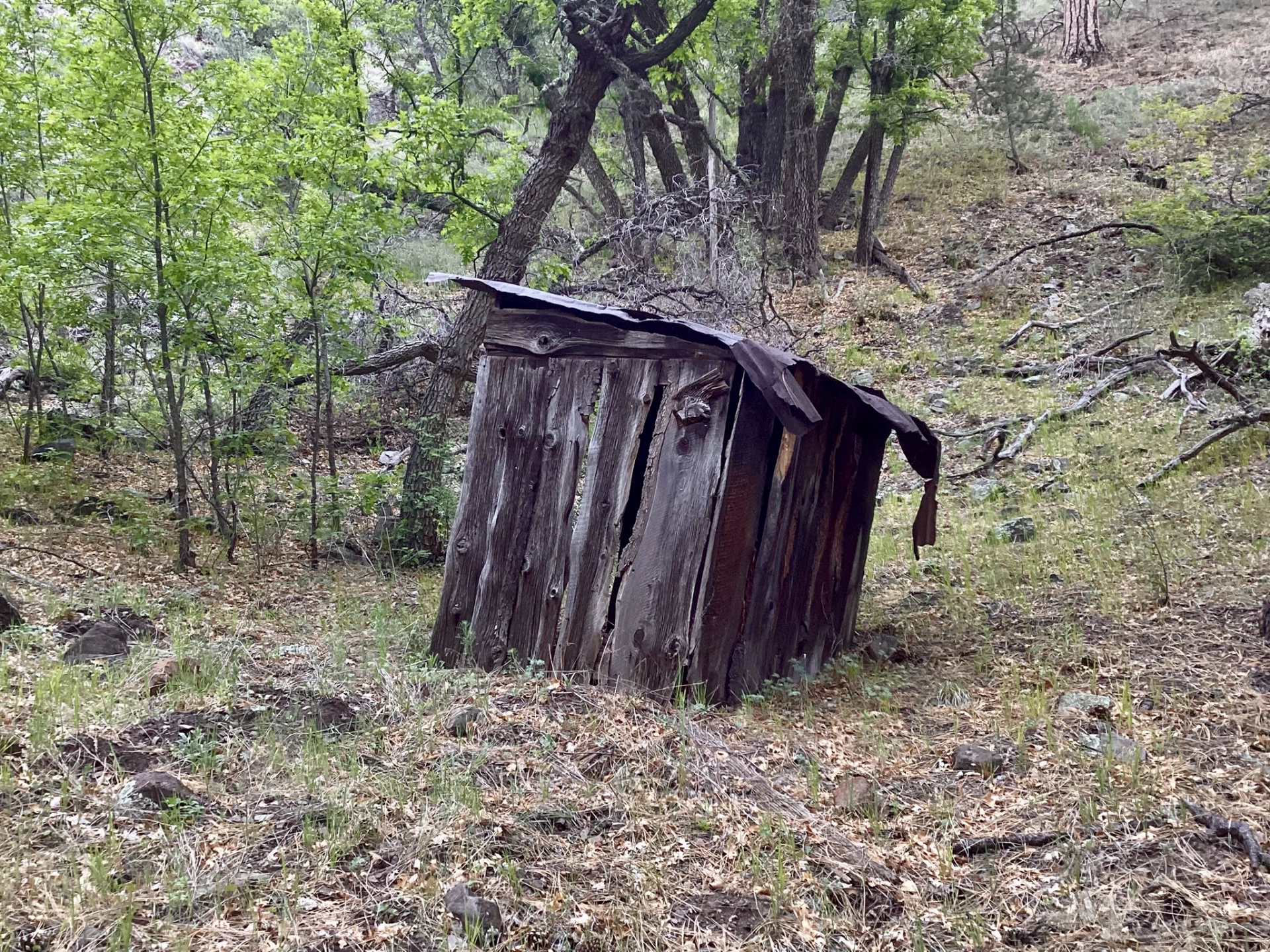 two-hole outhouse near the old cabin