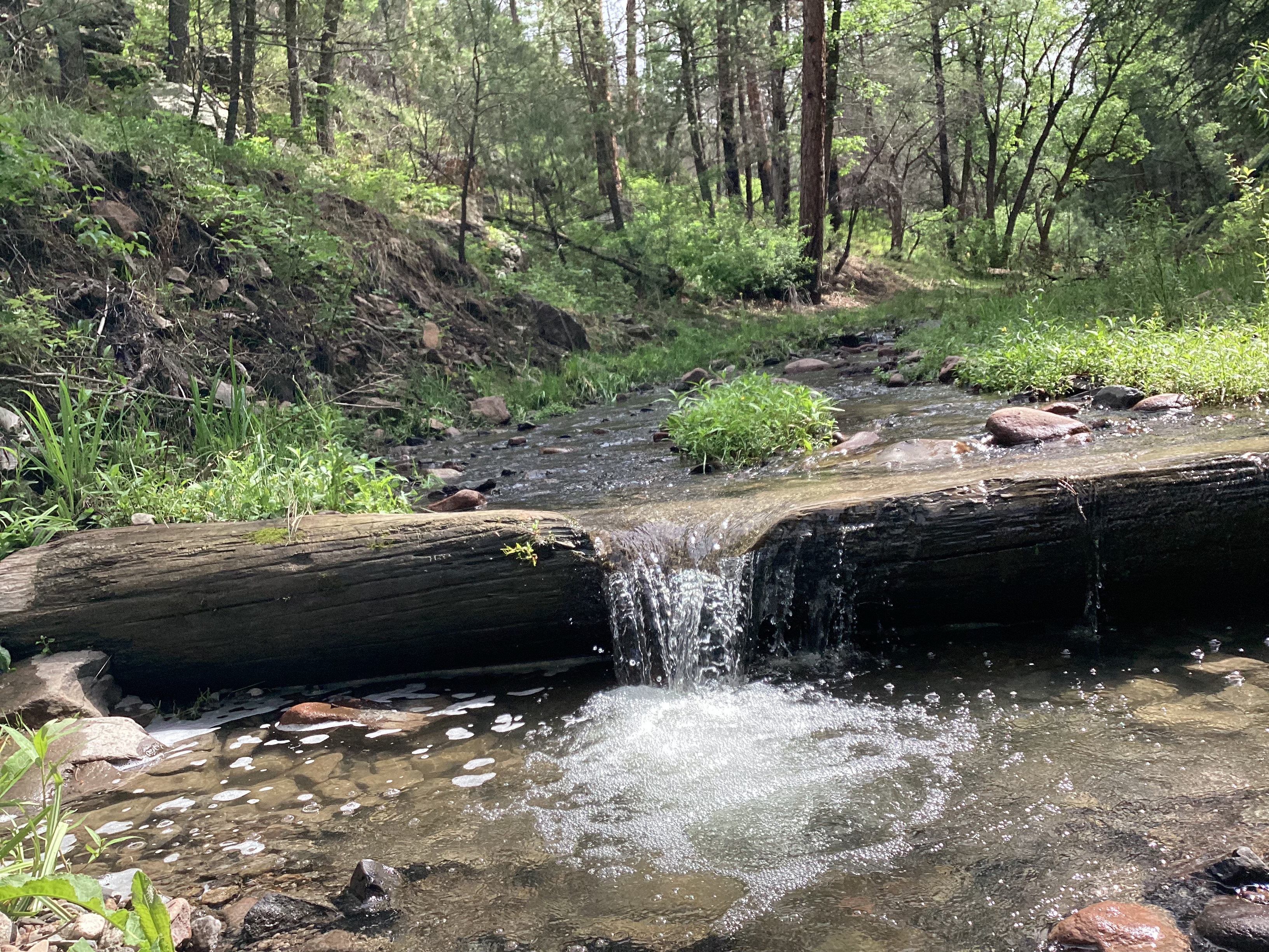 McKnight Canyon