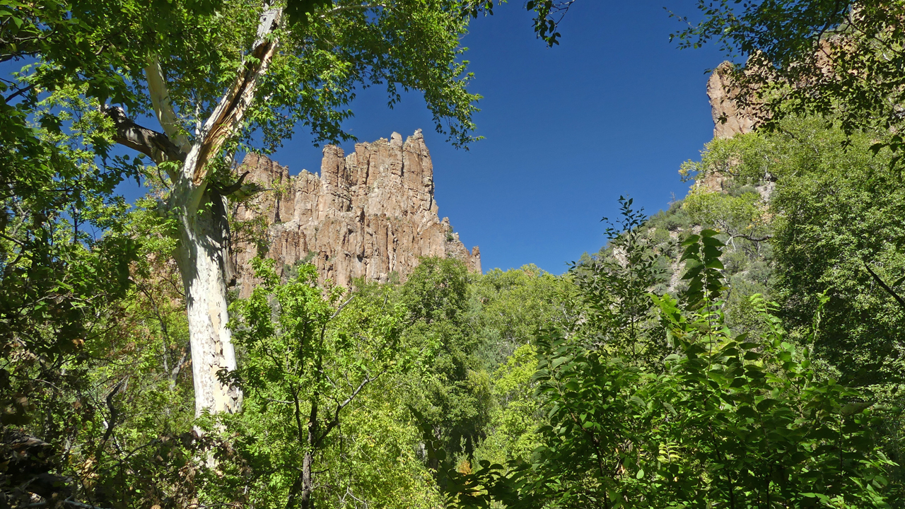 Lush Forest and Ruddy Cliffs