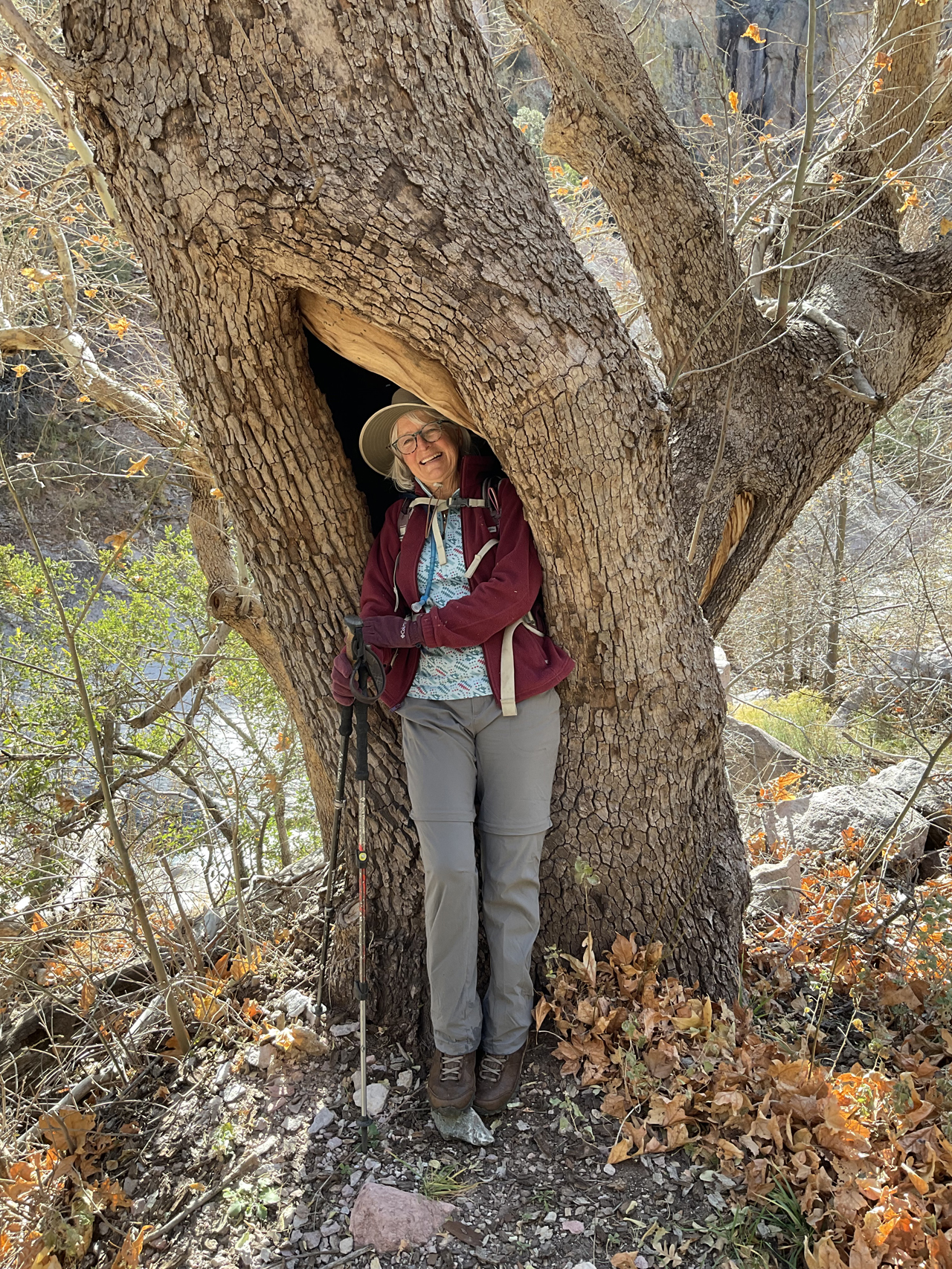 getting in touch with my inner Fremont Cottonwood