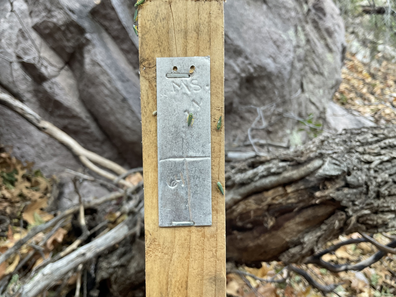 mining claim stake