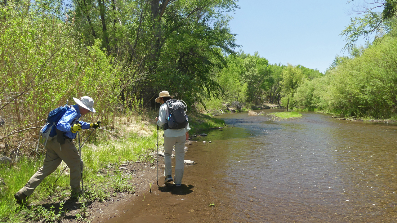 stepping into the river