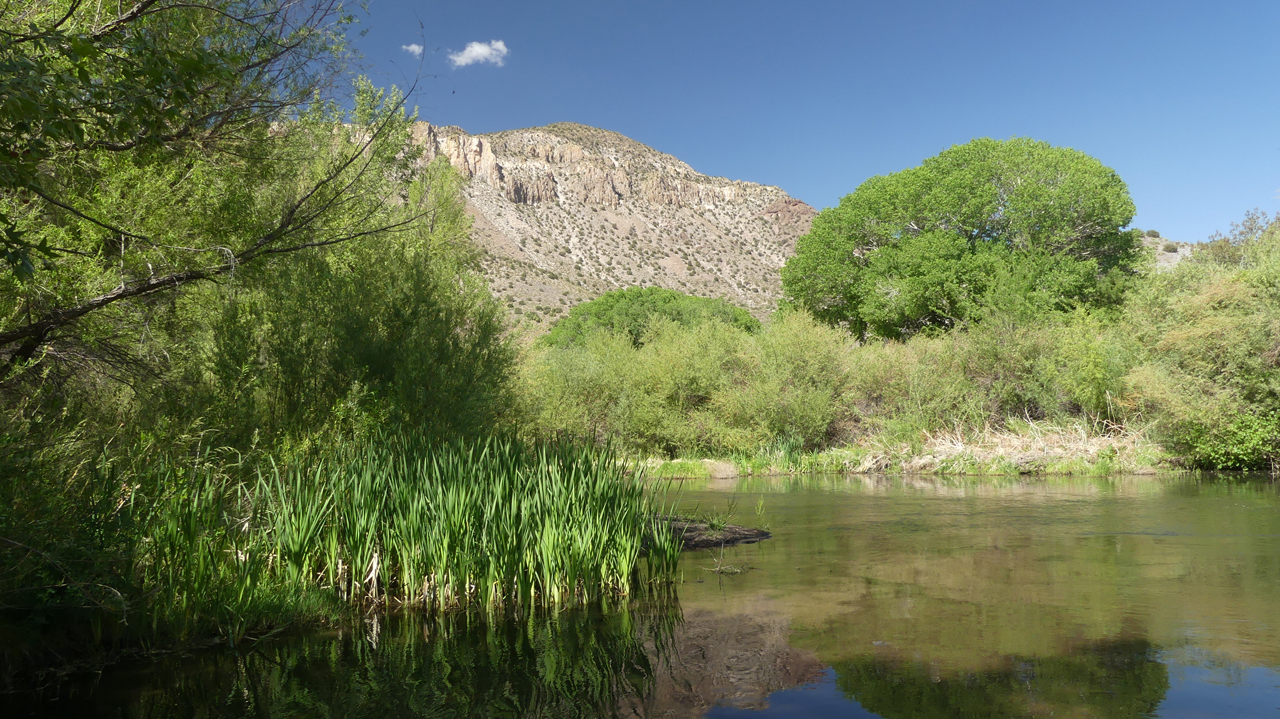 cattails in the water and big cliffs